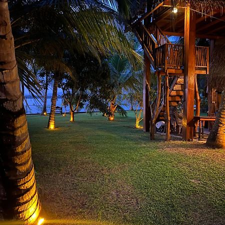 Yala Elephant Cottage Tissamaharama Zewnętrze zdjęcie